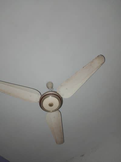 fan gfc