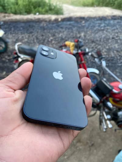 Apple iPhone 11