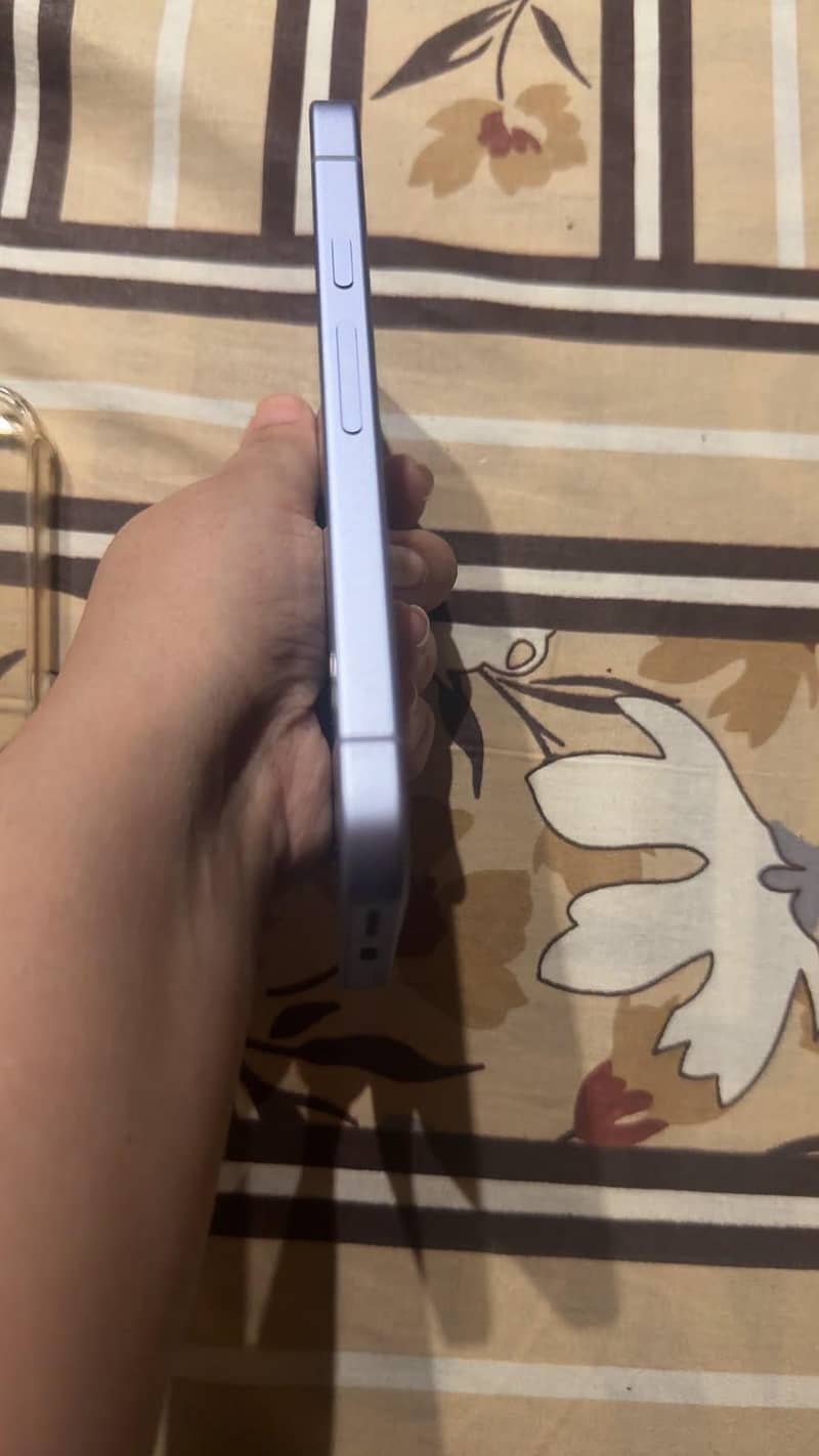 Google Pixel 9 1