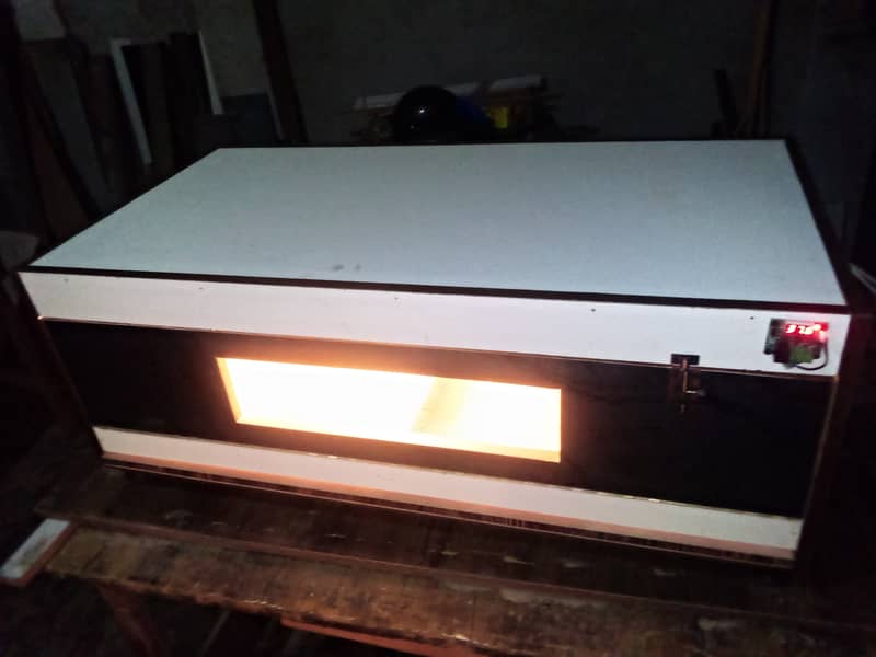 molted bentum pair/incubator, brooder 14