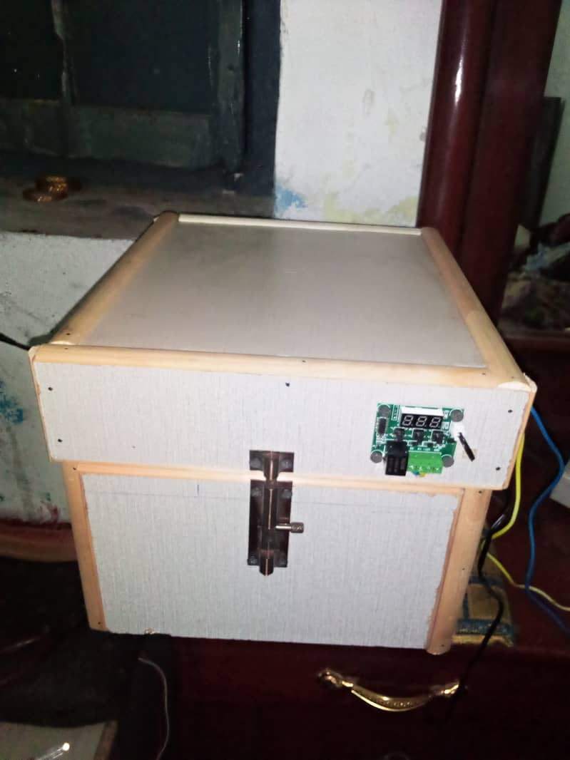 molted bentum pair/incubator, brooder 17