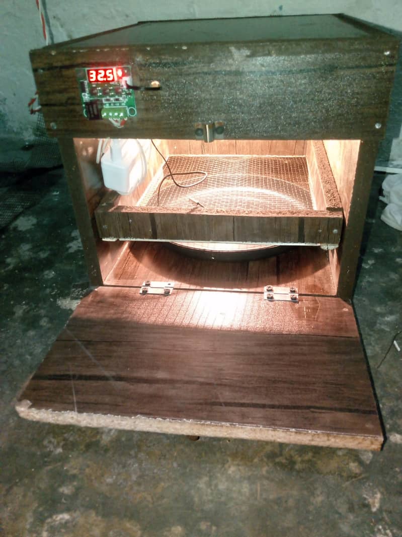molted bentum pair/incubator, brooder 18