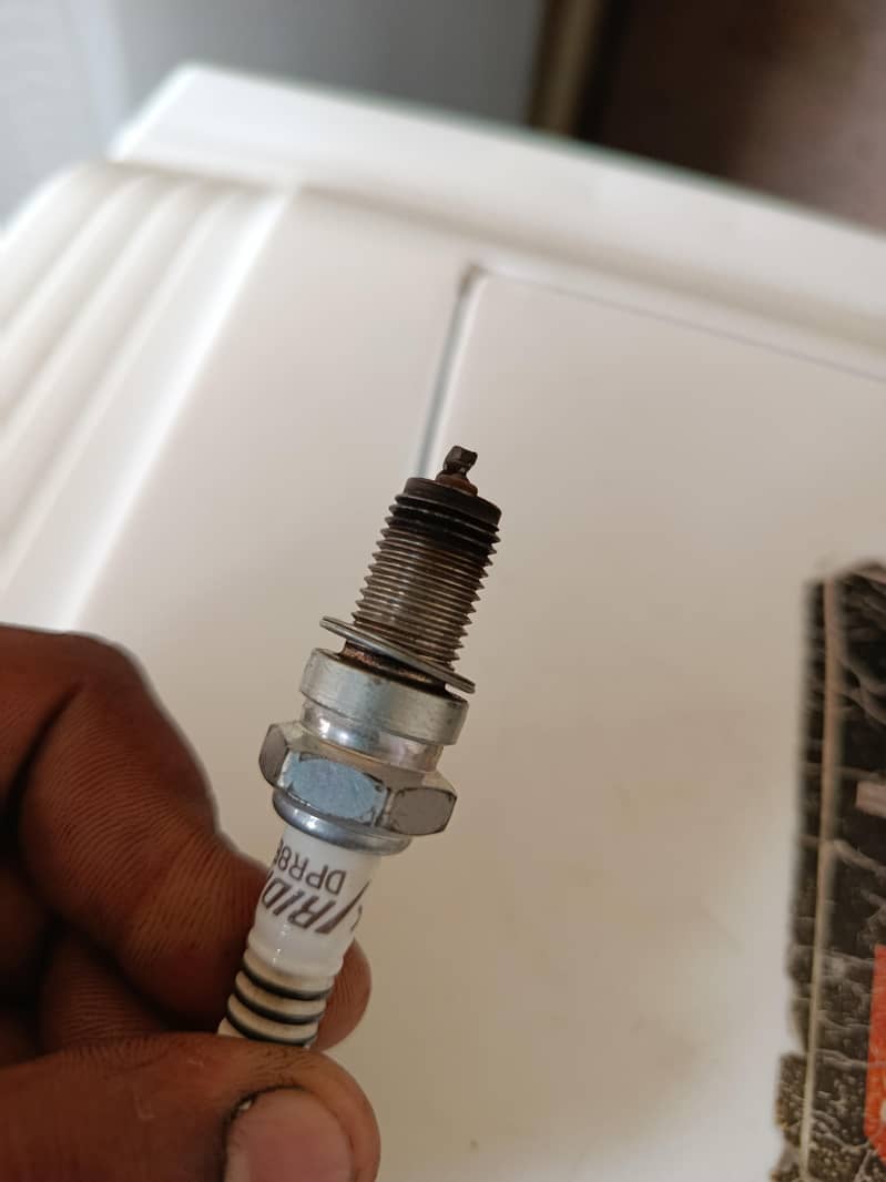 iredum plug 4