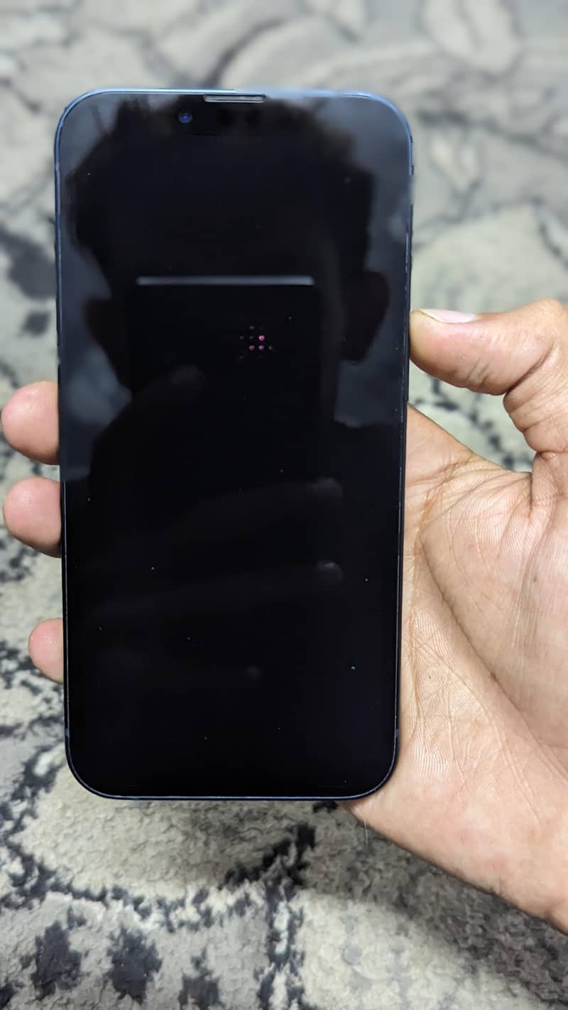 Apple iPhone 13 0