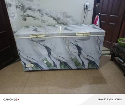 Waves Jumbo Deep Freezer | Original | Heavy Duty