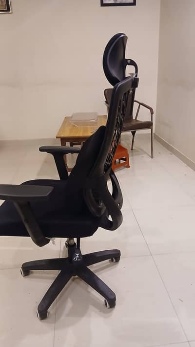 Molty Ortho Back Care Ergonomic Office Chair – Excellent Condition