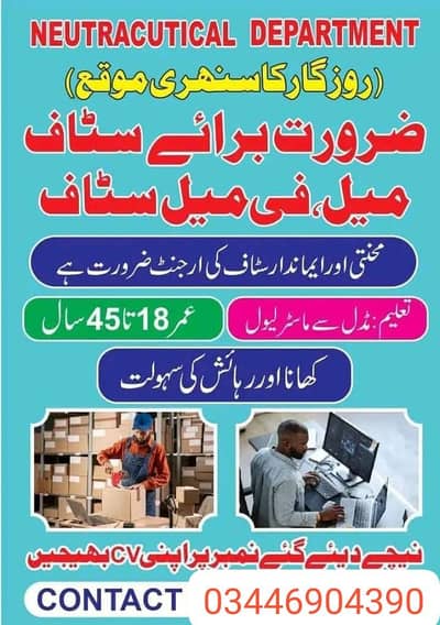 office and store work