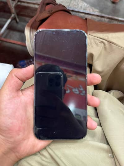 Apple iPhone 13 Pro Max