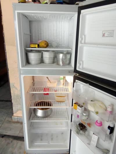 pel fridge one season used