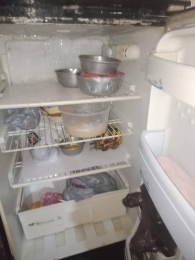pel refrigrator 0