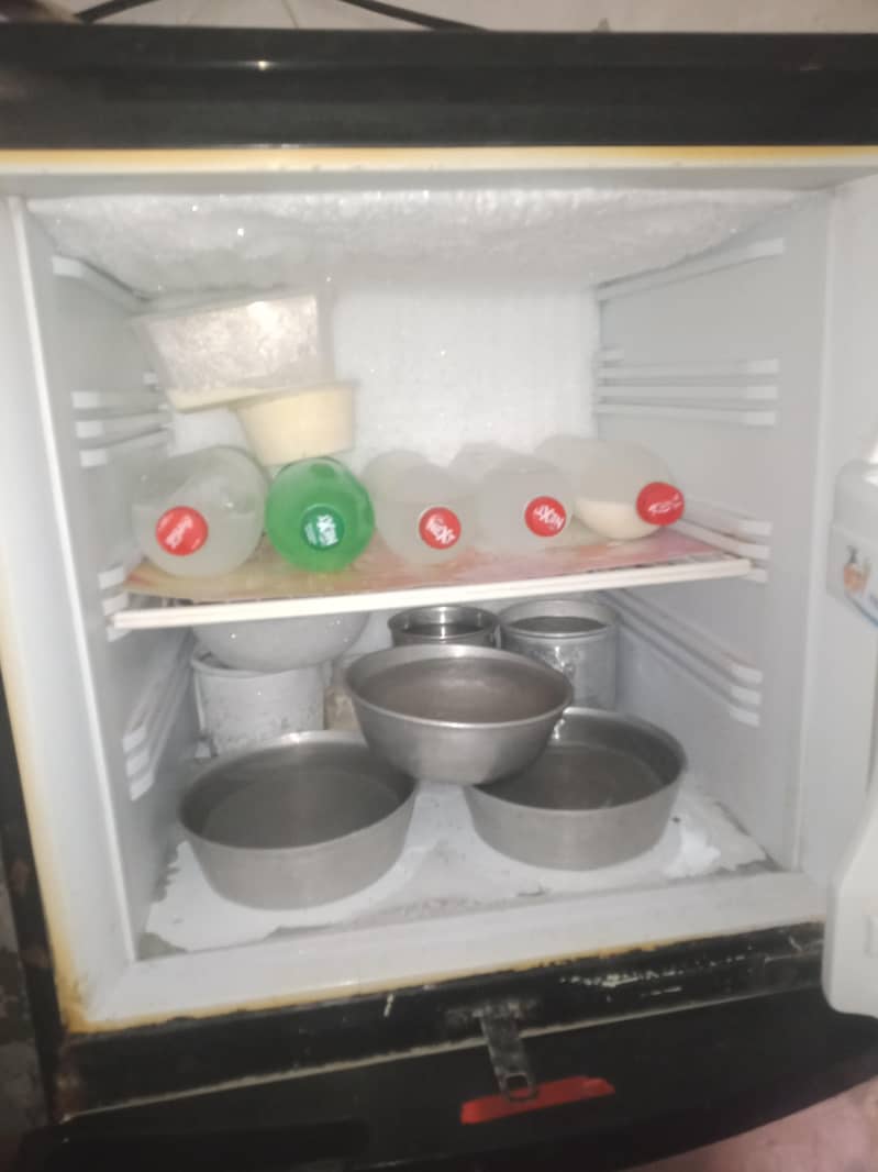 pel refrigrator 1