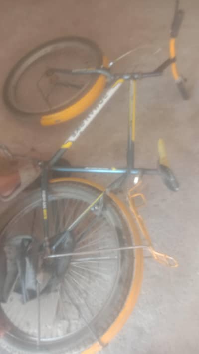 urgent for sale