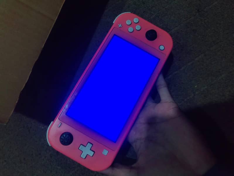 Nintendo switch lite 1