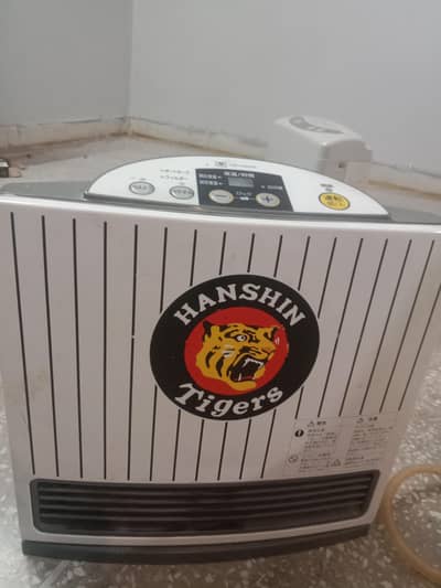 gas and electric heater