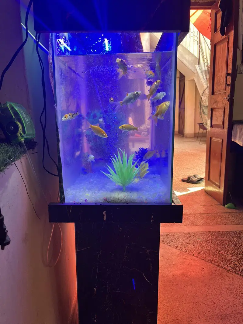 home decor aquarium — photo 3