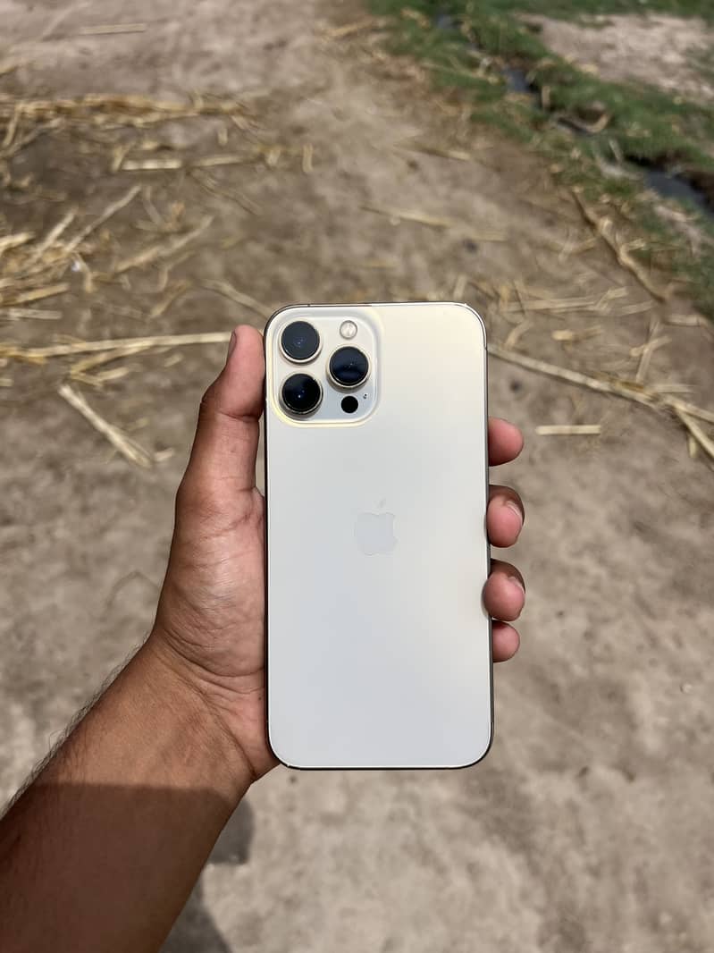 Iphone 13 pro max 1
