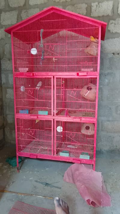 lotino birds