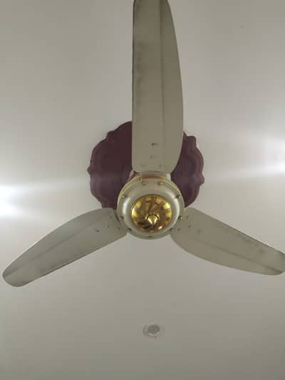 fan for sale
