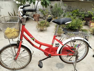 cyclie