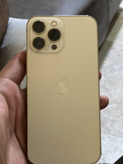 Apple iPhone 13 Pro Max
