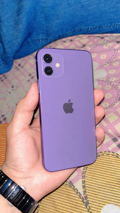 iPhone 12 256gb PTA Approved Waterpack