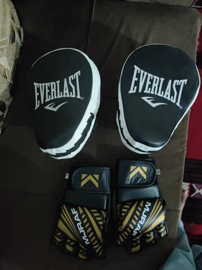 Everlast target and mma gloves /boxing equipment/boxing target