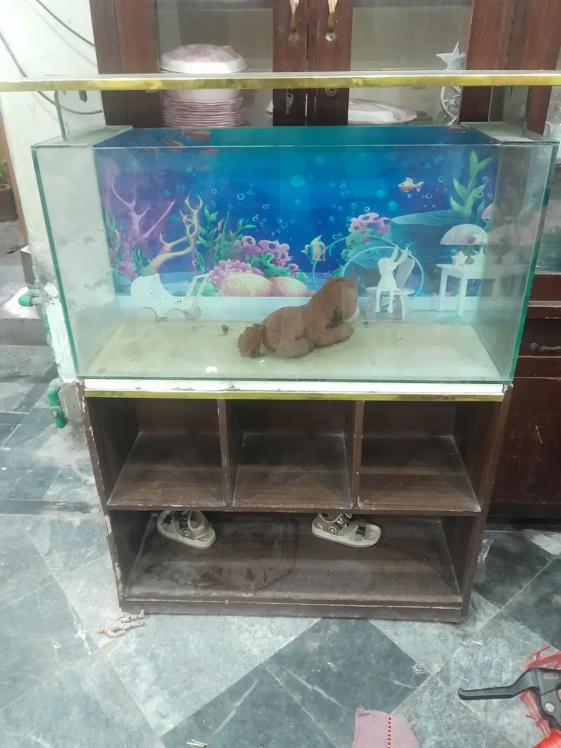 new condition for sale