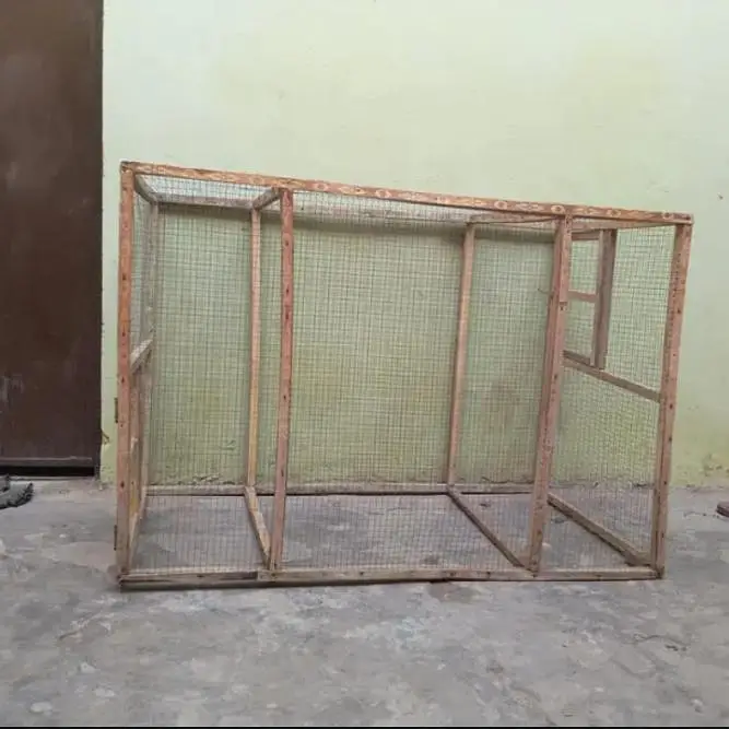 Aseel, Hen, Parrot All Type Of Birds Cage — photo 2
