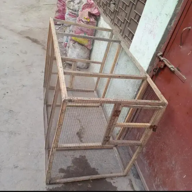 Aseel, Hen, Parrot All Type Of Birds Cage — photo 3