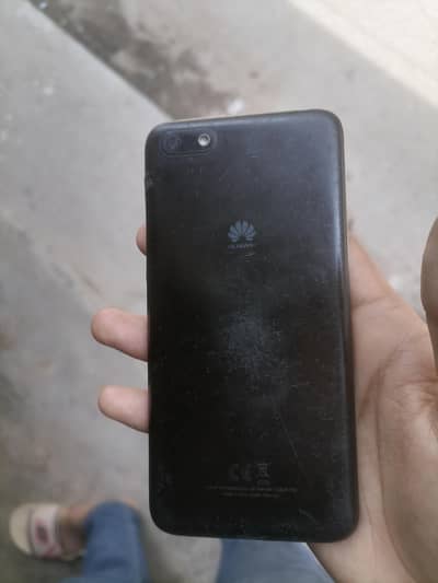 Y5 prime