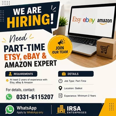 Need Part-Time Etsy, eBay & Amazon Expert
