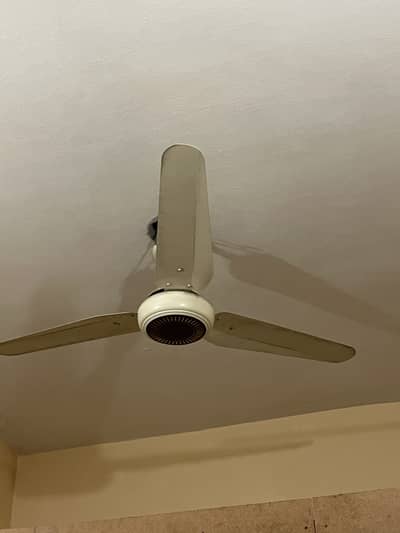 Mubarak Fan