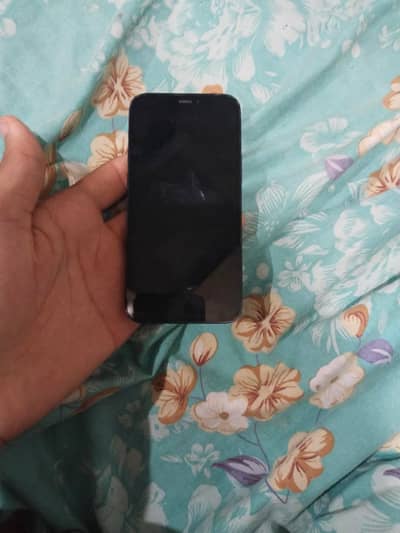 Apple iPhone 12 mini