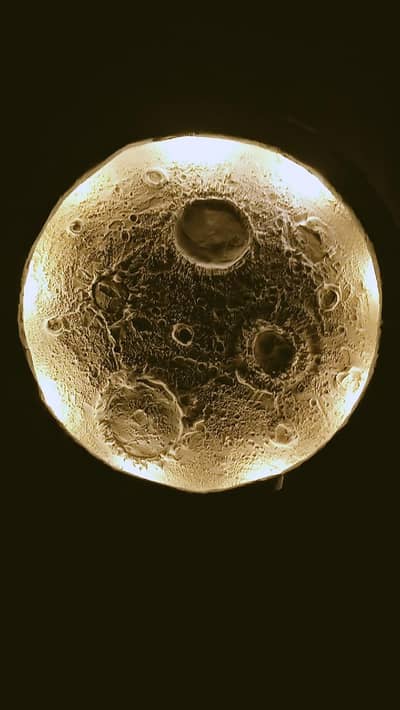 moon light
