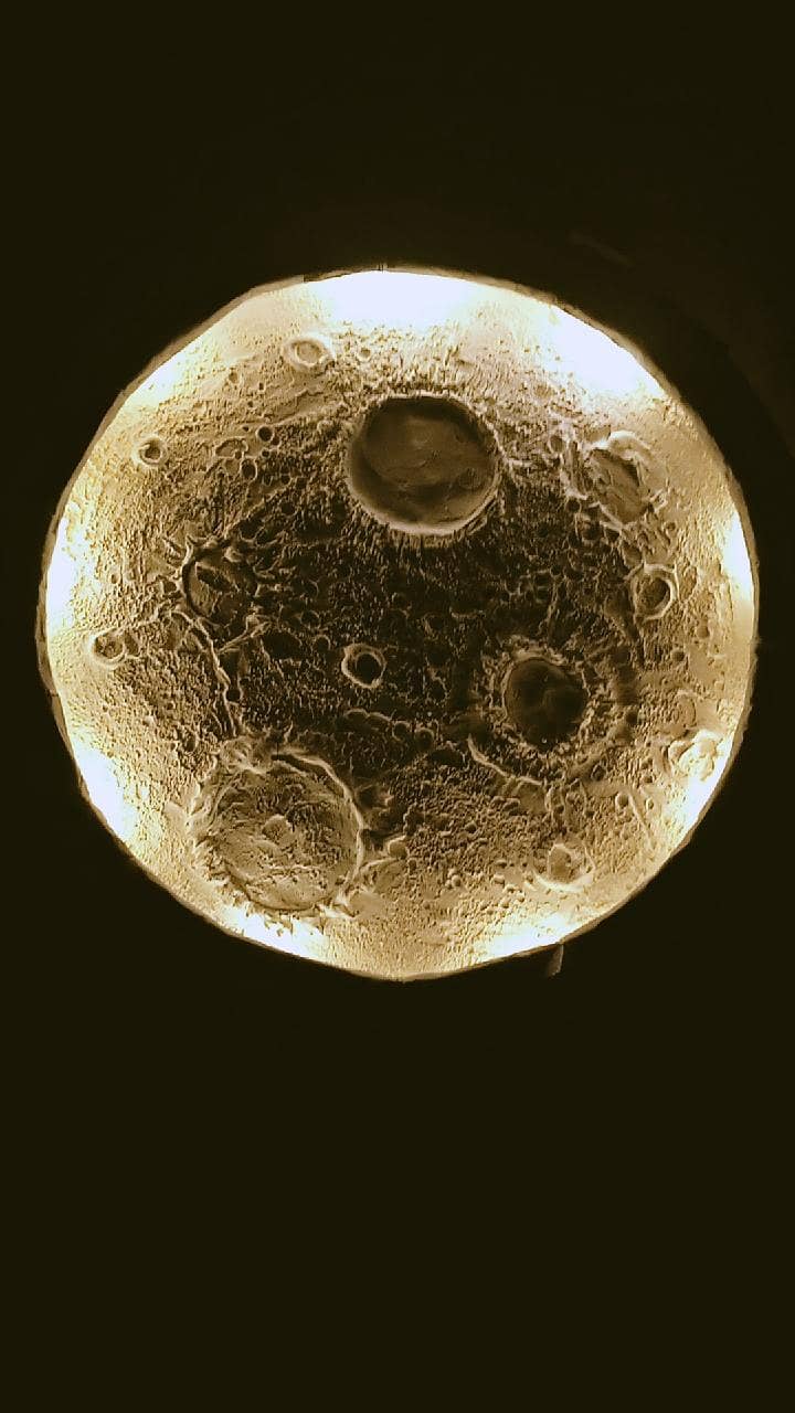 moon light 0