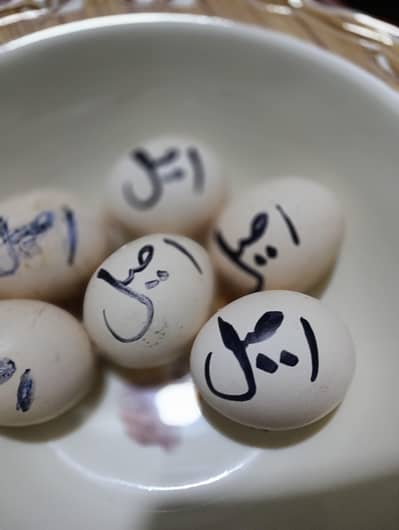 Aseel high quality eggs