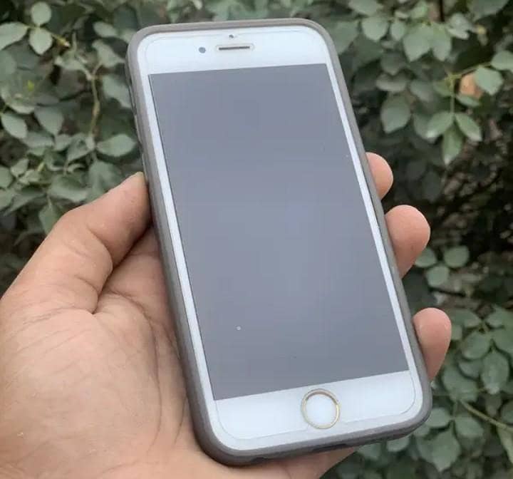Apple iPhone 6 3