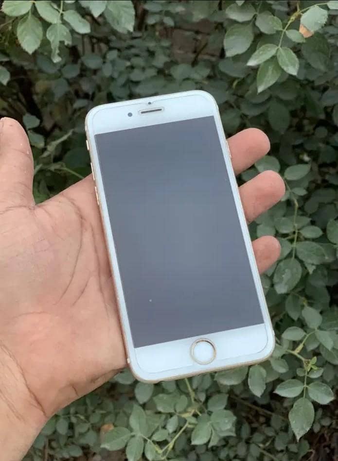 Apple iPhone 6 4