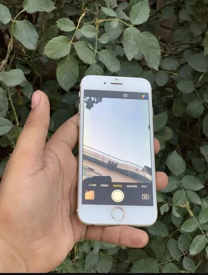 Apple iPhone 6 12