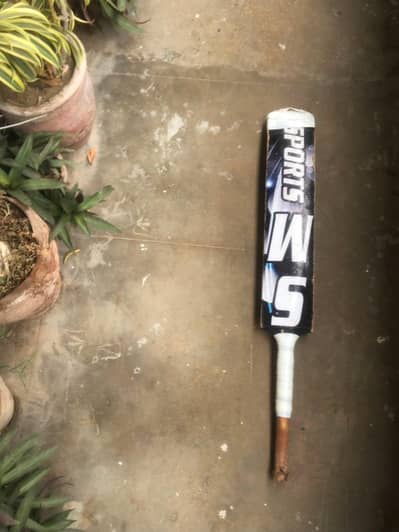 cricket bat