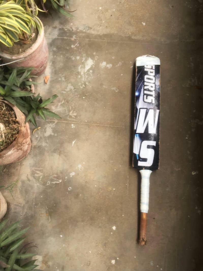 cricket bat 0