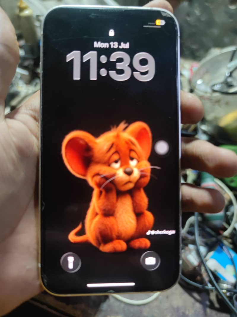 Apple iPhone 13 4