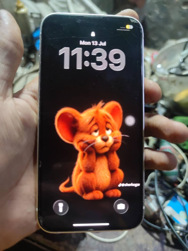 Apple iPhone 13 5