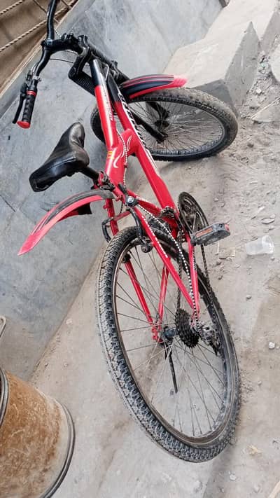 Bicycle