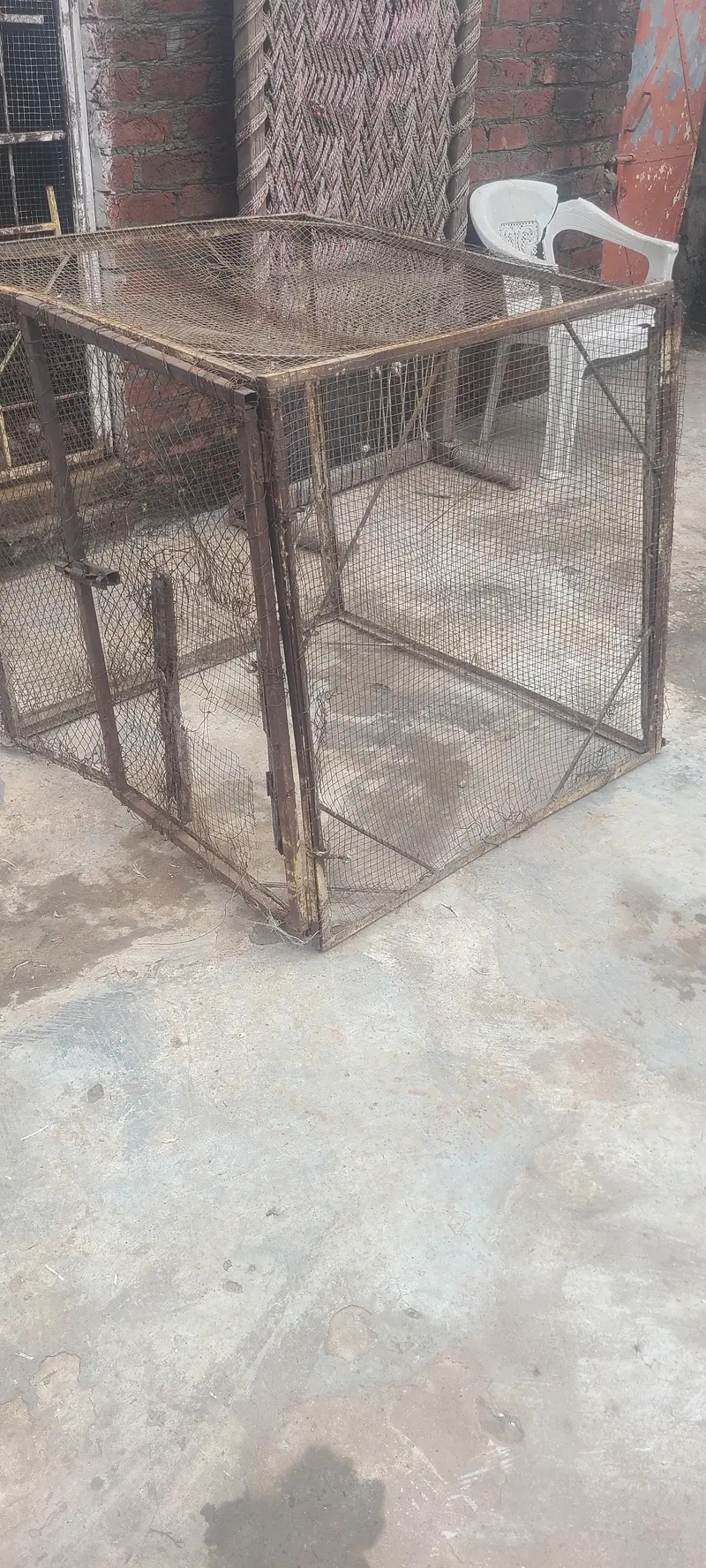 Iron cage — photo 2