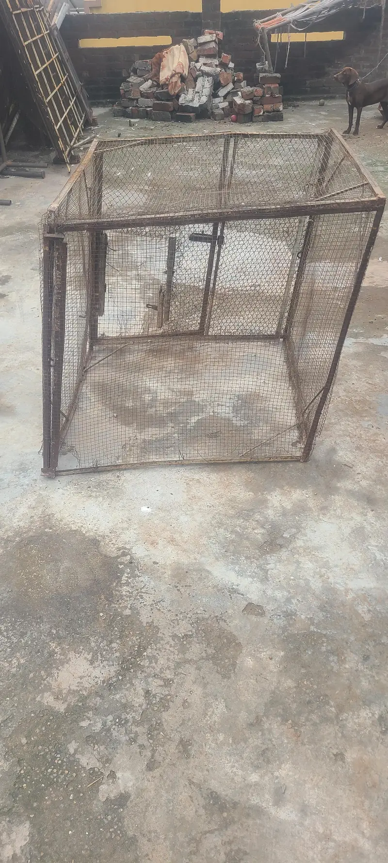 Iron cage — photo 3