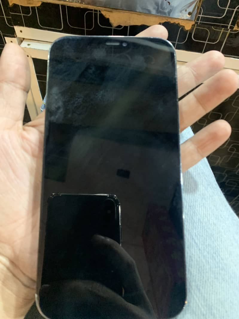 Apple iPhone 12 Pro Max 1