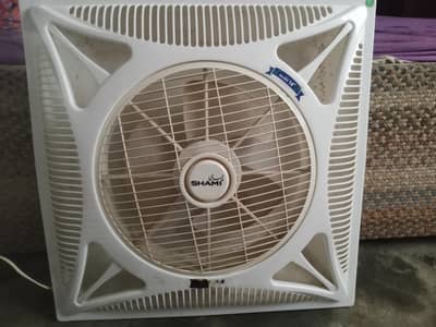 ceilling fan contact 03468343510