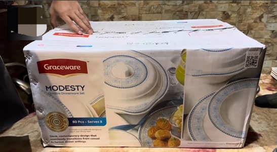 modesty melamine dinner set