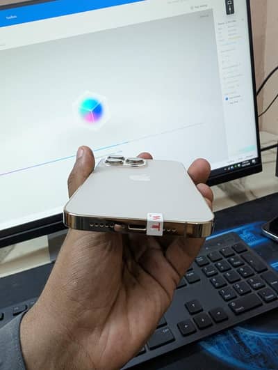 Apple iPhone 13 Pro Max